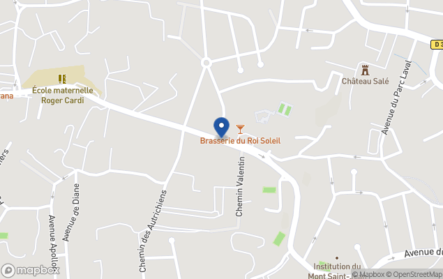 agence immobili&egrave;re roi soleil