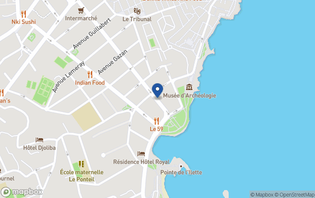 avenir immobilier international