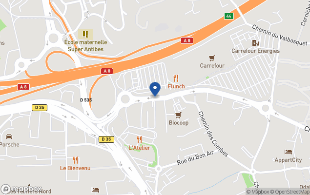 carlton international